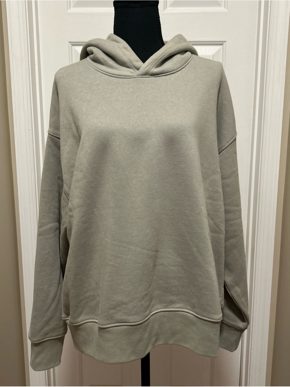 Men's Neutral Sage Hooded Sweatshirt American Eagle